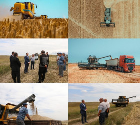 𝐒̧ə𝐦𝐤𝐢𝐫𝐝ə 𝟕 𝐦𝐢𝐧 𝟏𝟓𝟔 𝐡𝐞𝐤𝐭𝐚𝐫 𝐬𝐚𝐡ə𝐝ə 𝐭𝐚𝐱ı𝐥 𝐛𝐢𝐜̧𝐢𝐧𝐢 𝐚𝐩𝐚𝐫ı𝐥ı𝐛