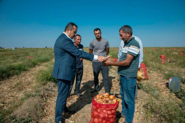 Şəmkirdə fermerlərlə görüşlər davam edir, onlar Dövlət Proqramının imkanları barədə məlumatlandırılır.