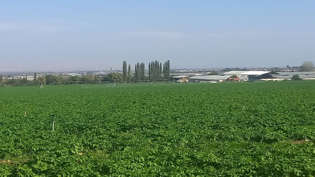 Şəmkirdə su ehtiyatlarından səmərəli istifadəyə dair tədbirlər davam etdirilir