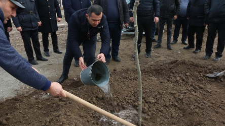 Yeniabad-Xuluf yolu təmir olundu, şəhidlərin xatirəsinə ağaclar əkildi.