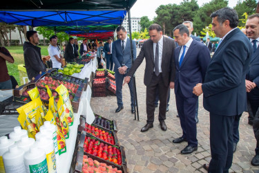 Şəmkirli fermerlər Aqrar Biznes Festivalında məhsullarını nümayiş etdiriblər.