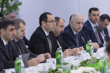 Tovuzda “Qəhvəyi mərmər bağacığına qarşı birgə mübarizə” mövzusunda regional müşavirə keçirilib