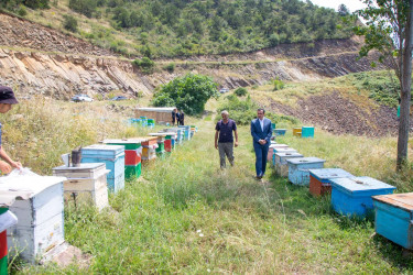 İcra başçısı bu dəfə arıçılıq təsərrüfatına baş çəkib.