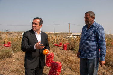Rəşad Tağıyev fermerlərlə görüşüb, təsərrüfatlara baxış keçirib