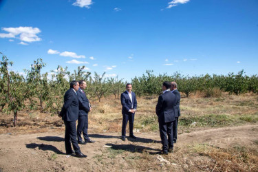 Şəmkirdə Dövlət Proqramı üzrə görülən işlər müzakirə olunub, təsərrüfatlara baxış keçirilib