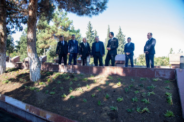 Anım Günü münasibətilə Şəhidlər Xiyabanında təmizlik və abadlıq işləri aparıldı, rayon ərazisində ağacəkmə aksiyaları təşkil olundu