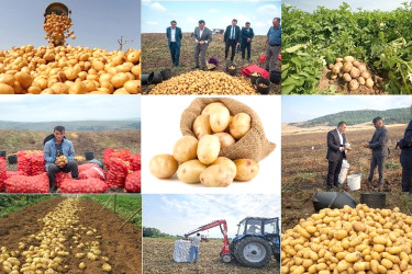 İnkişafın davamlılığı: rayon üzrə icra olunan işlərə ümumi baxış